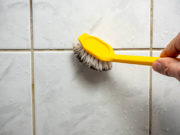 Best Mold Remediation for Schools in Fair Plain, MI