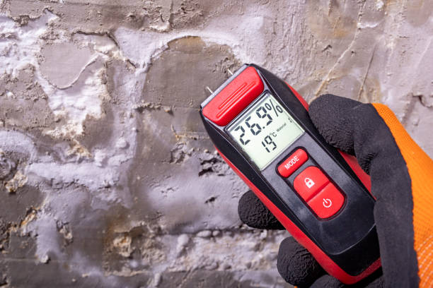 Best DIY Mold Remediation Support Services in Fair Plain, MI