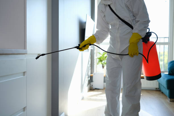 Best DIY Mold Remediation Support Services in Fair Plain, MI