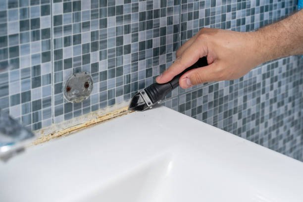 Best Emergency Mold Remediation in Fair Plain, MI